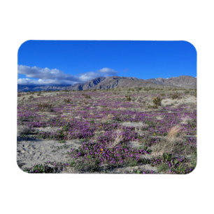 Desert Super Bloom 2019 Borrego Springs CA Magneet