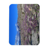 Desert Super Bloom 2019 Borrego Springs CA Magneet (Verticaal)