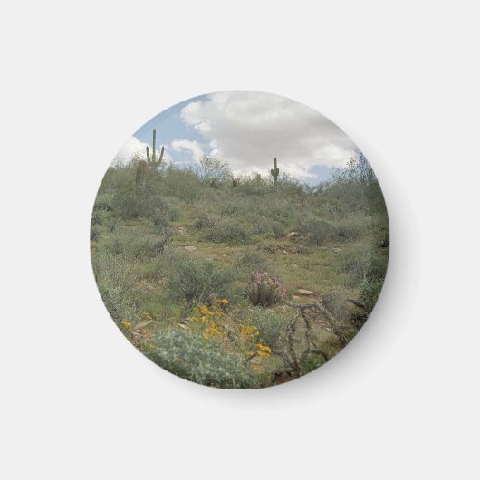 Desert Symphony Desert Refkoelkast Magnet (Voorkant)