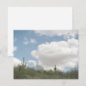 Desert Symphony Sonoran Arizona Foto Briefkaarten (Voorkant / Achterkant)
