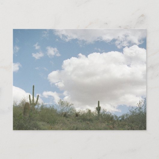 Desert Symphony Sonoran Arizona Foto Briefkaarten (Voorkant)