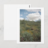 Desert Symphony Sonoran Arizona Foto Briefkaarten (Voorkant / Achterkant)