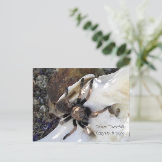Desert Tarantula Briefkaart (Staand voorkant)