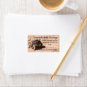 Desert Tortoise-Adresetiketten Etiket (Insitu)