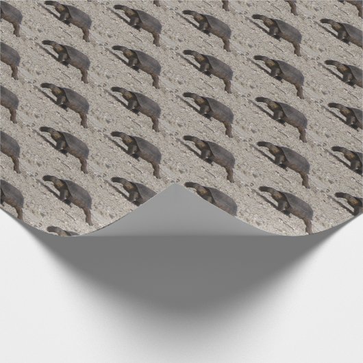 Desert Tortoise Cadeaupapier (Hoek)