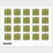 Desert Tortoise Favor Tags Vierkante Sticker (Vel)