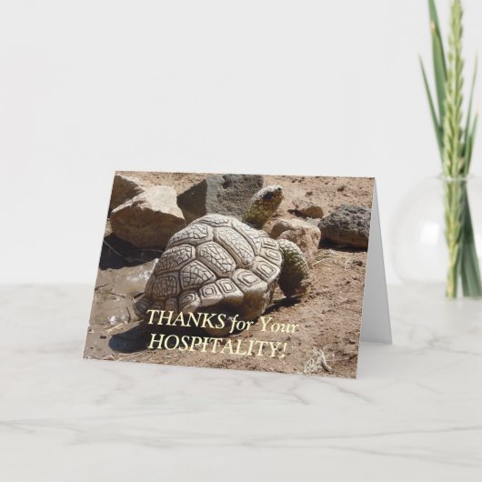 Desert Tortoise - Gastvrijheid Bedankt (Voorkant)