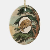 Desert Tortoise in Natuurlijke Habitat-illustratie Keramisch Ornament (Rechts)