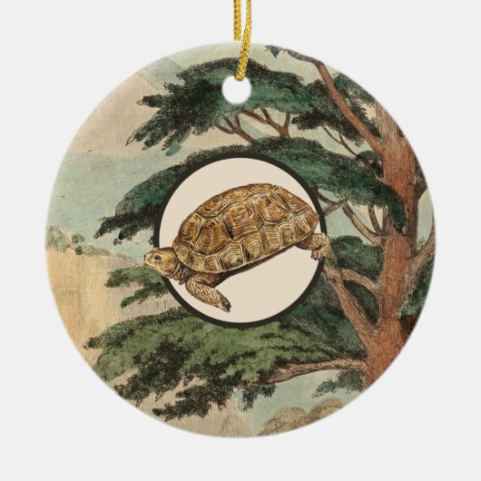 Desert Tortoise in Natuurlijke Habitat-illustratie Keramisch Ornament (Voorkant)