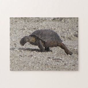 Desert Tortoise Legpuzzel