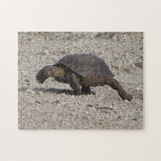 Desert Tortoise Legpuzzel (Horizontaal)