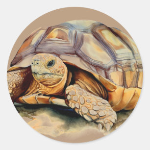 Desert Tortoise Ronde Stickers
