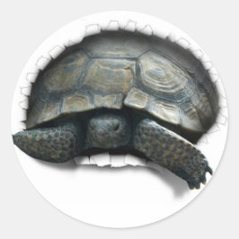 DESERT TURTLE, KOMEND OP YA RONDE STICKER