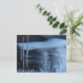 Desert Vision Quest, Saguaro at Night Briefkaart (Staand voorkant)