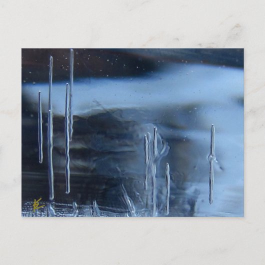 Desert Vision Quest, Saguaro at Night Briefkaart (Voorkant)