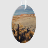 Desert Wave: Petrified Forest National Park Ornament (voorkant)