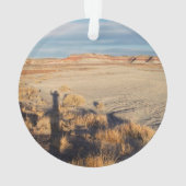 Desert Wave: Petrified Forest National Park Ornament (achterkant)