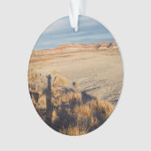 Desert Wave: Petrified Forest National Park Ornament (voorkant)