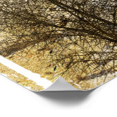 Desert Wheelie Motocross Poster (Hoek)