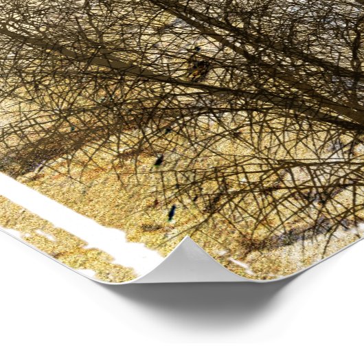 Desert Wheelie Motocross Poster (Hoek)