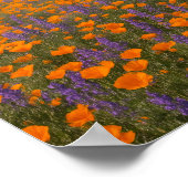 Desert Wildflowers Greeting Card - Spring Western  Poster (Hoek)