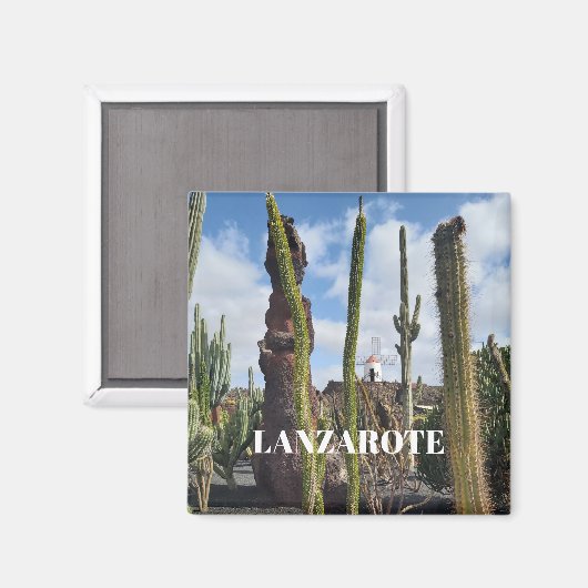 “Desert Windmill and Cactus” Magnet (Voorkant / Achterkant)