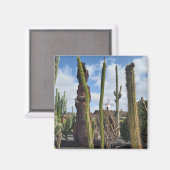 “Desert Windmill and Cactus” Magnet (Voorkant / Achterkant)
