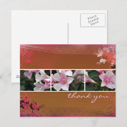 DesertBotanicals Briefkaart - bruin (Voorkant / Achterkant)