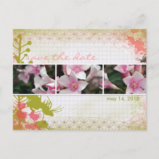 DesertBotanicals Briefkaart - graph floral (Voorkant)