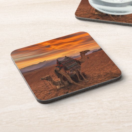 Deserts | Bactrian Camel Egypt Sand Dune Bier Onderzetter (Linkerzijde)