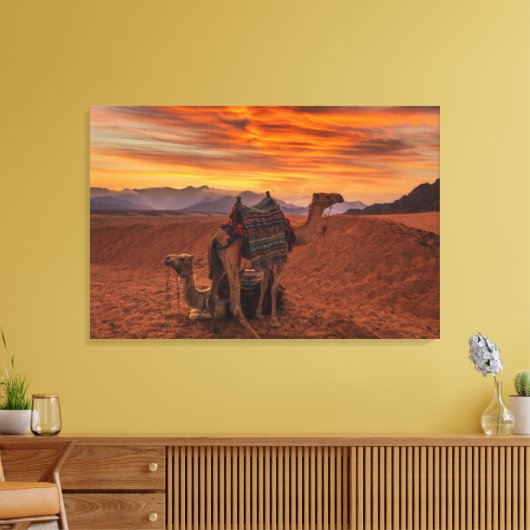 Deserts | Bactrian Camel Egypt Sand Dune Canvas Afdruk (Insitu (Woonkamer))