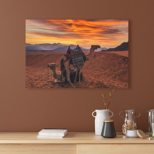 Deserts | Bactrian Camel Egypt Sand Dune Canvas Afdruk