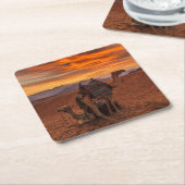 Deserts | Bactrian Camel Egypt Sand Dune Kartonnen Onderzetters (Schuin)