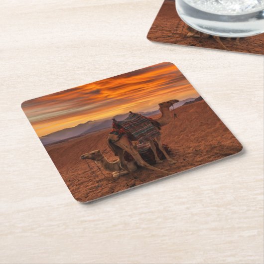 Deserts | Bactrian Camel Egypt Sand Dune Kartonnen Onderzetters (Schuin)