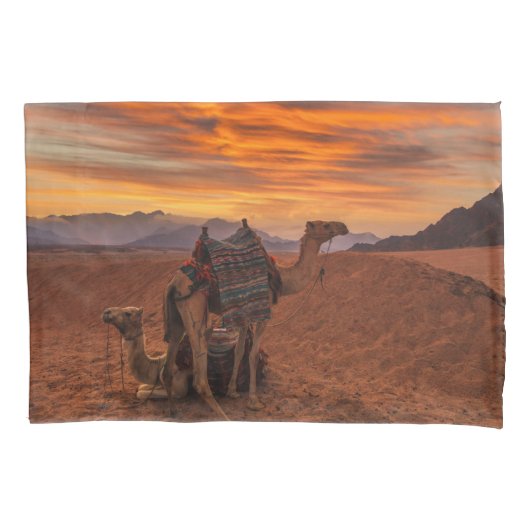 Deserts | Bactrian Camel Egypt Sand Dune Kussensloop (Voorkant)