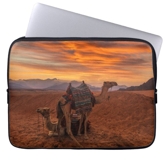 Deserts | Bactrian Camel Egypt Sand Dune Laptop Sleeve (Voorkant)