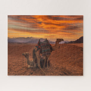 Deserts   Bactrian Camel Egypt Sand Dune Legpuzzel