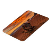 Deserts | Bactrian Camel Egypt Sand Dune Magneet (Linkerzijde)