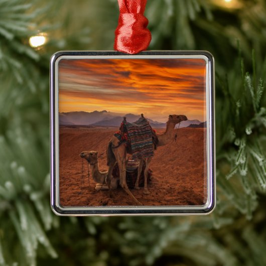 Deserts | Bactrian Camel Egypt Sand Dune Metalen Ornament (Boom)