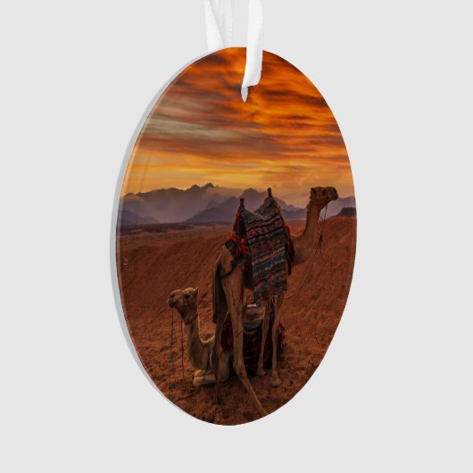 Deserts | Bactrian Camel Egypt Sand Dune Ornament (voorkant)
