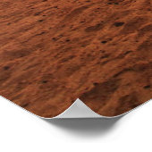 Deserts | Bactrian Camel Egypt Sand Dune Poster (Hoek)