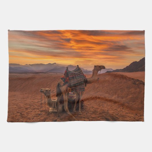 Deserts | Bactrian Camel Egypt Sand Dune Theedoek (Horizontaal)
