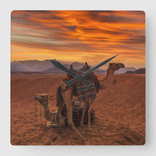 Deserts   Bactrian Camel Egypt Sand Dune Vierkante Klok