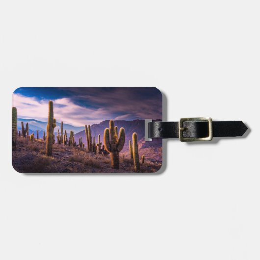 Deserts | Cactus Landscape Argentina Bagagelabel (Voorkant horizontaal)