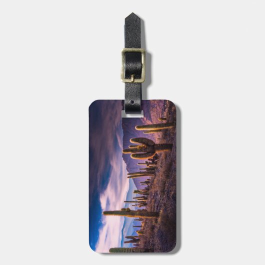 Deserts | Cactus Landscape Argentina Bagagelabel (Voorkant verticaal)