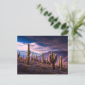 Deserts | Cactus Landscape Argentina Briefkaart (Staand voorkant)