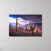 Deserts | Cactus Landscape Argentina Canvas Afdruk (Voorkant)
