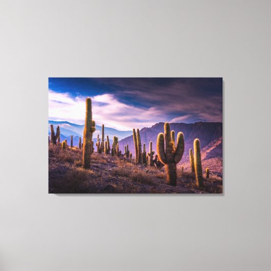 Deserts | Cactus Landscape Argentina Canvas Afdruk (Voorkant)