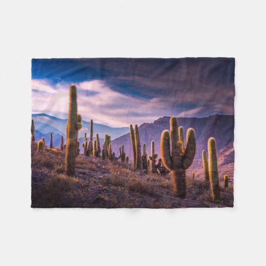 Deserts | Cactus Landscape Argentina Fleece Deken (Voorkant (Horizontaal))