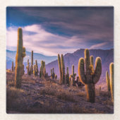 Deserts | Cactus Landscape Argentina Glazen Onderzetter (Voorkant)